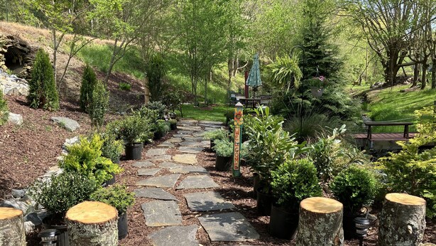 A stone pathway leading through a garden with a 'Welcome' sign, surrounded by various plants and trees.