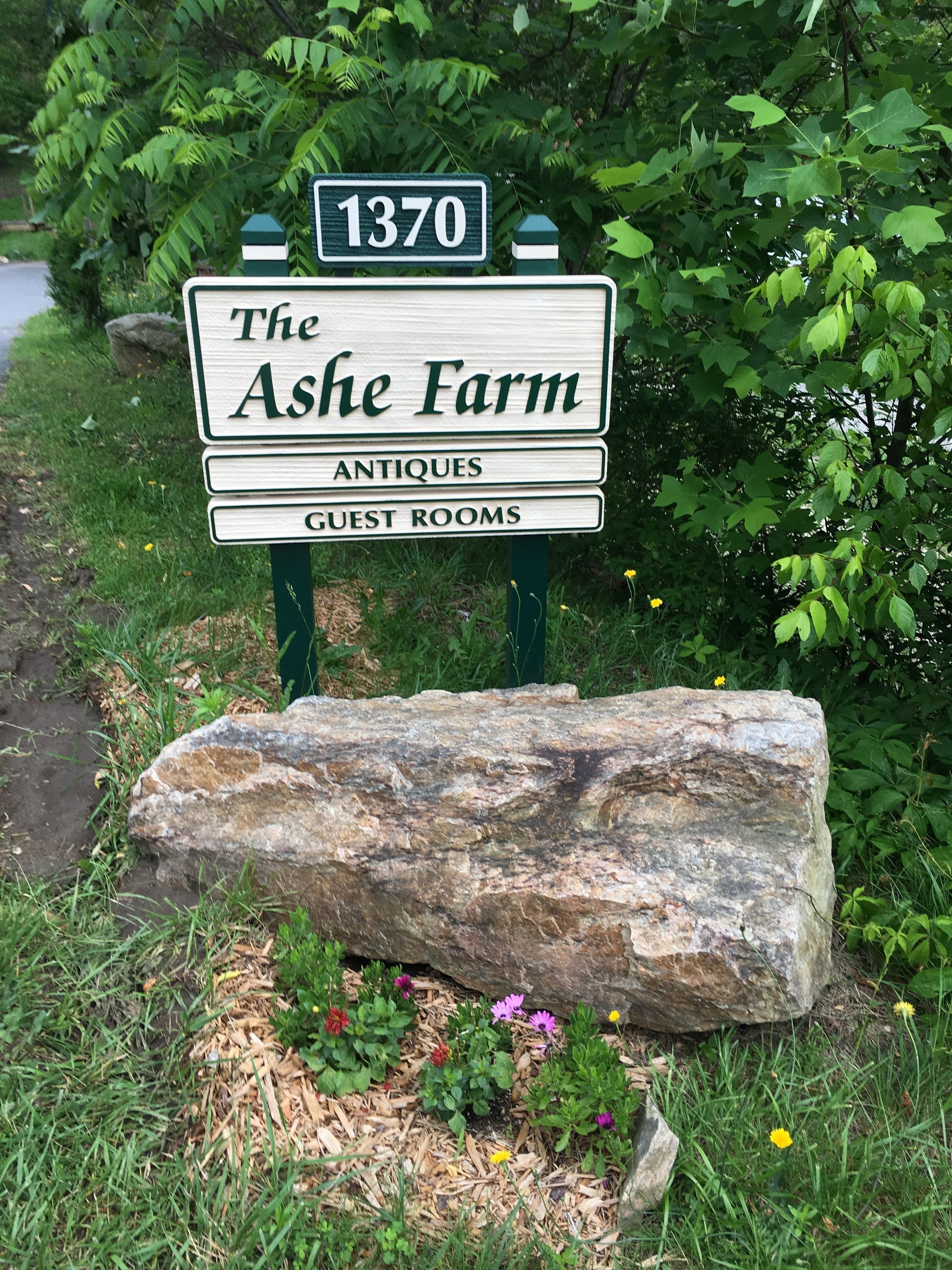 Segnaletica per The Ashe Farm, con l'indicazione di antiquariato e camere per gli ospiti.