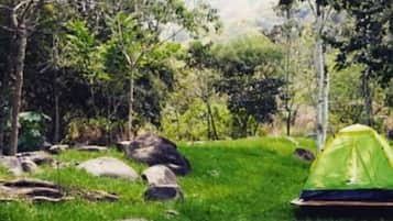 Tenda Basic, 2 Tempat Tidur Twin, Bebas Asap Rokok