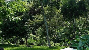 A tent set up in a grassy area with trees in the background.