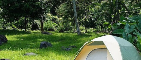 Basic Tent, Non Smoking