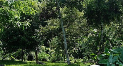 Glamping Furesa Experience - Hostel