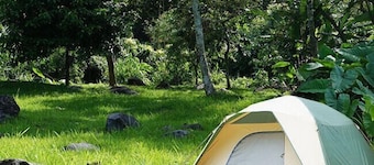 Glamping Furesa Experience - Hostel