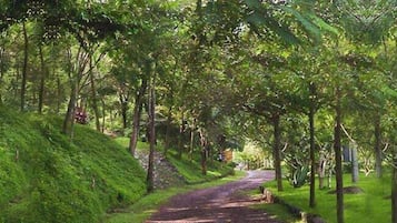 Khuôn viên nơi lưu trú
