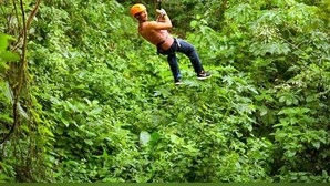 A person zip-lining through a lush, green forest.