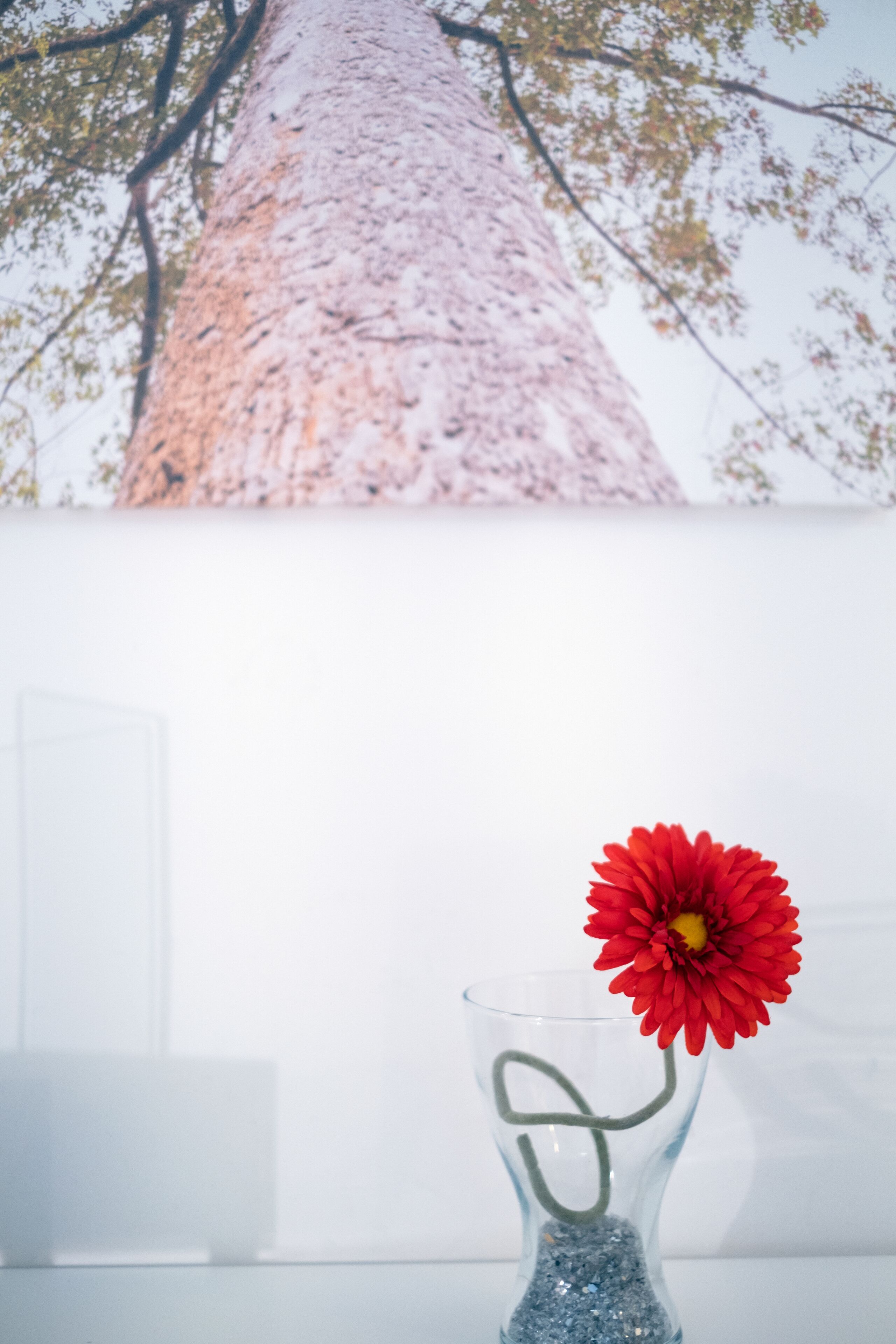 Photo - Ada Suites & Spa