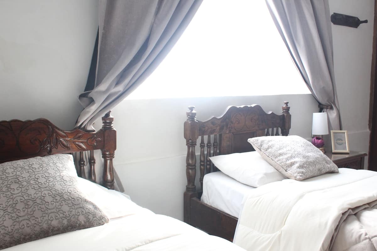A bedroom with two beds, one with a patterned pillow and the other with a plain pillow.