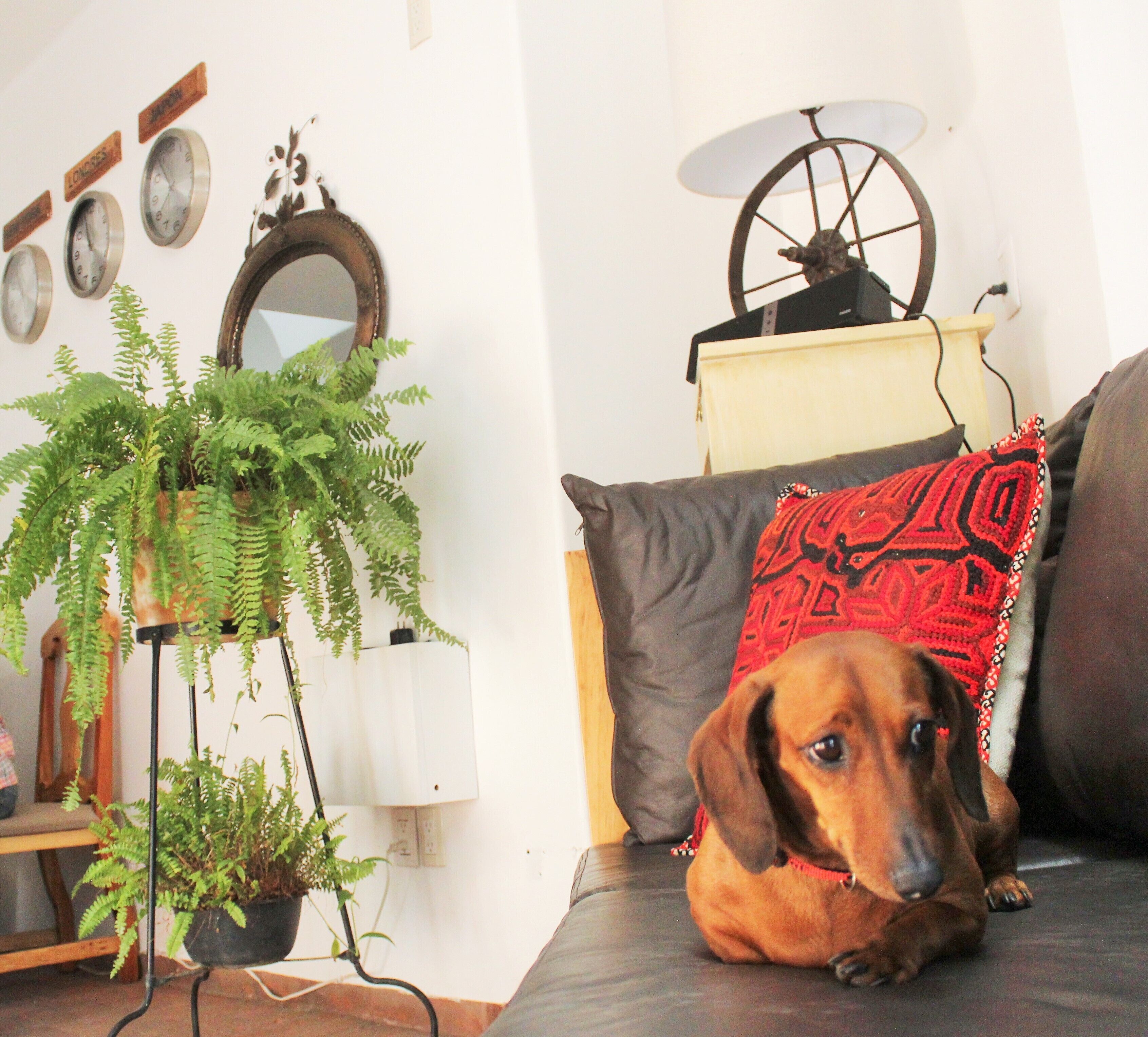 Photo - La Cochinilla Hotel Boutique