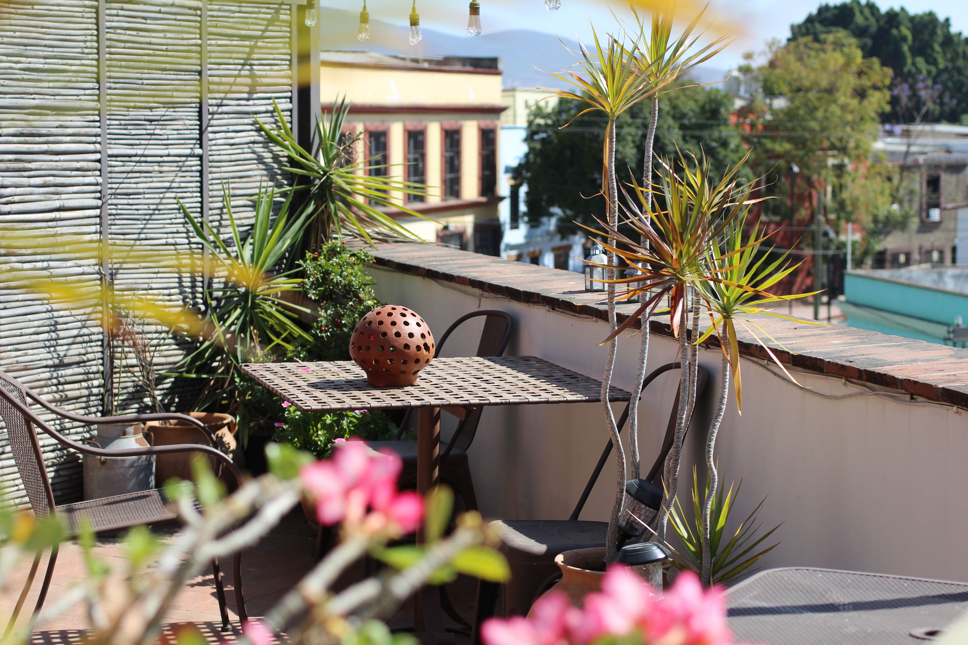 Photo - La Cochinilla Hotel Boutique