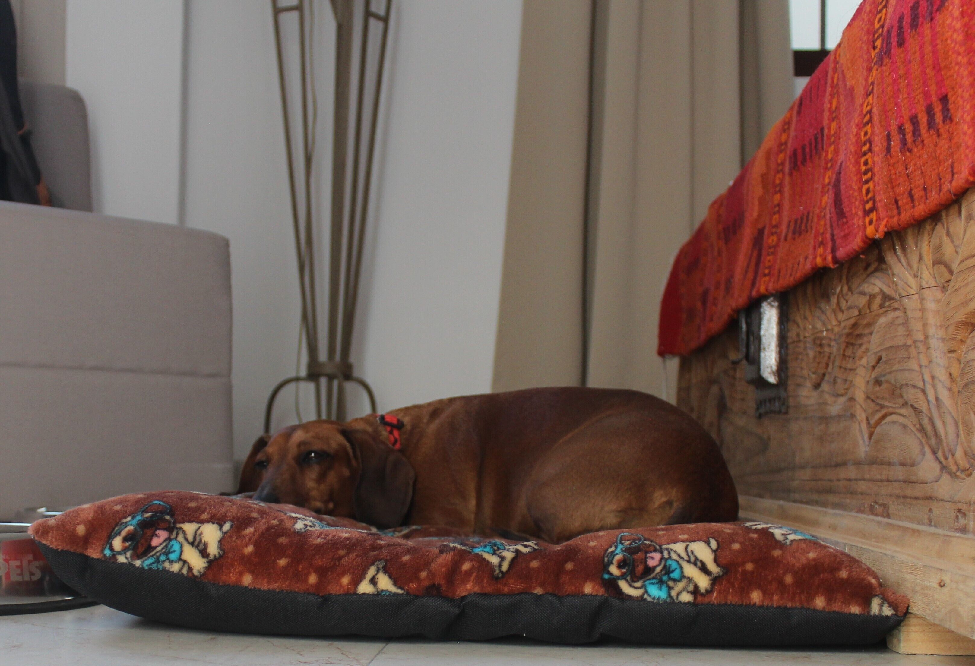 Photo - La Cochinilla Hotel Boutique