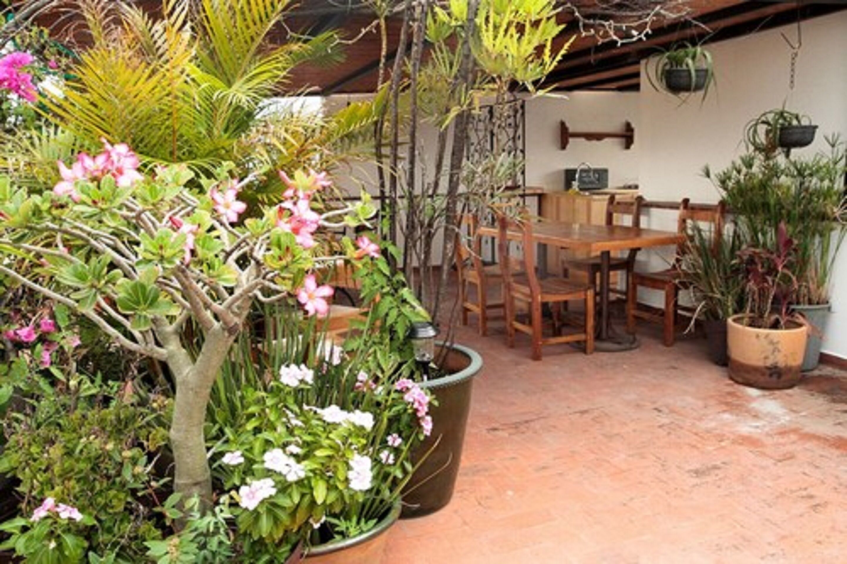 Photo - La Cochinilla Hotel Boutique