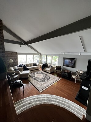TV, fireplace, video games, DVD player