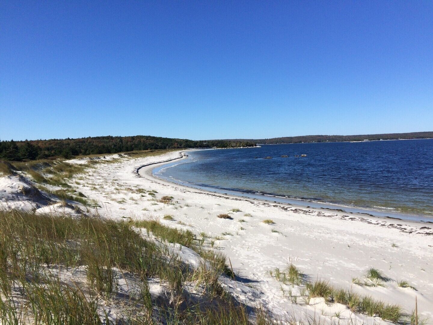 Strand