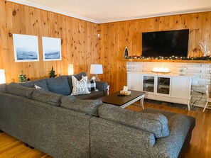 Smart TV, fireplace, DVD player, books