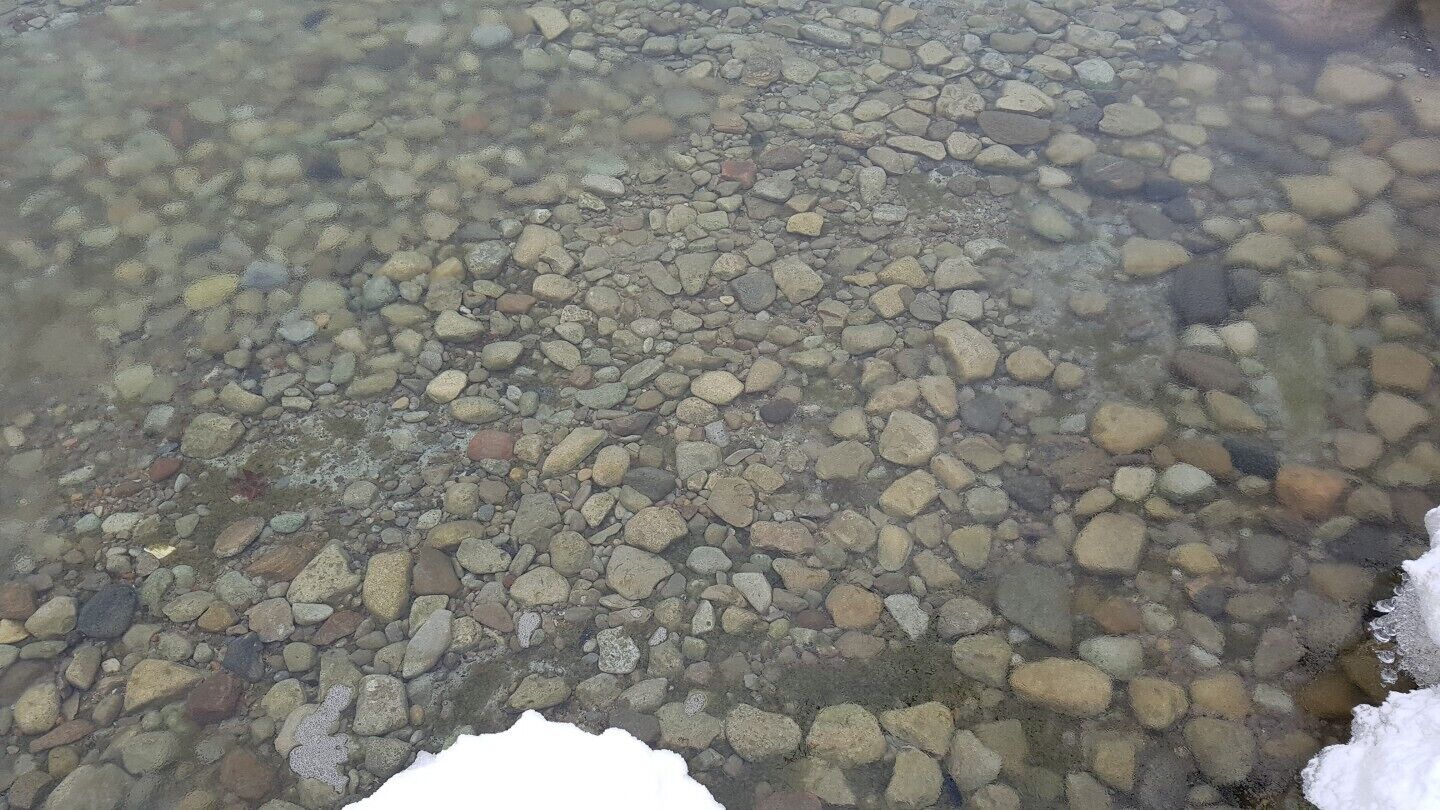 حمام