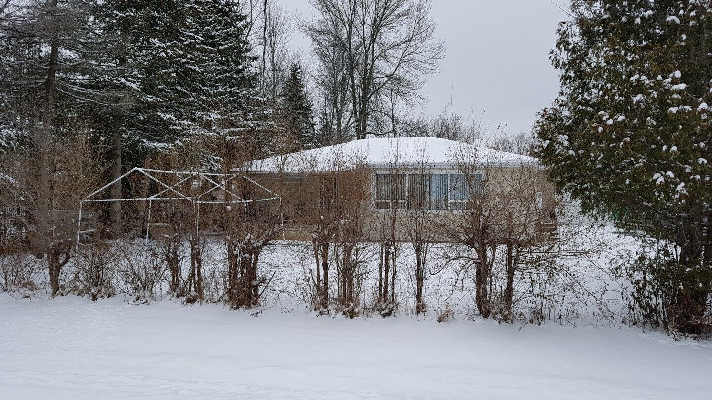 En snötäckt stuga omgiven av träd.