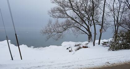 Simcoe Georgina Family Cottage Winter-Summer Rent 1hr from Toronto