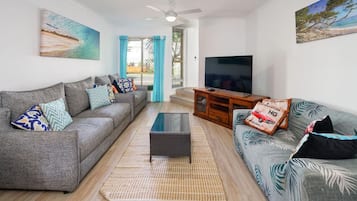 Télévision, Netflix, lecteur de DVD, services de streaming