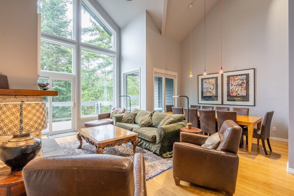 Smart TV, fireplace, video games, books