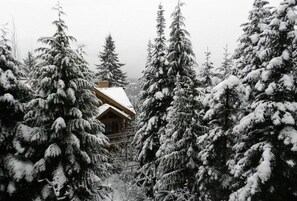Eine Hütte, umgeben von schneebedeckten Bäumen.