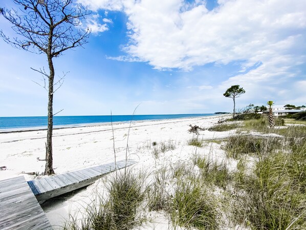 Plage, chaises longues