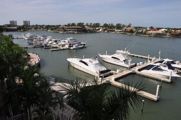 Un port de plaisance où sont amarrés de nombreux yachts, entouré d’immeubles résidentiels et de palmiers.