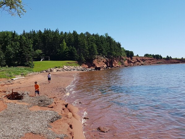 Playa en los alrededores, camastros y toallas de playa 