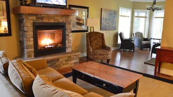 TV connectée, cheminée, lecteur de DVD, livres