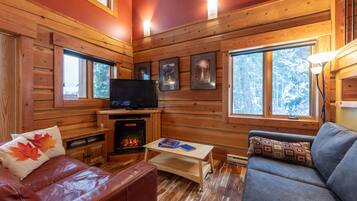 Smart TV, fireplace, DVD player, books