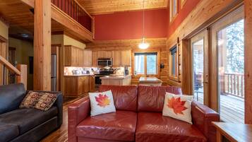 Smart TV, fireplace, DVD player, books