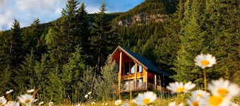 Deer Lodge - 2 Bedroom Luxurious Log Cabin in Golden - with Private hot tub