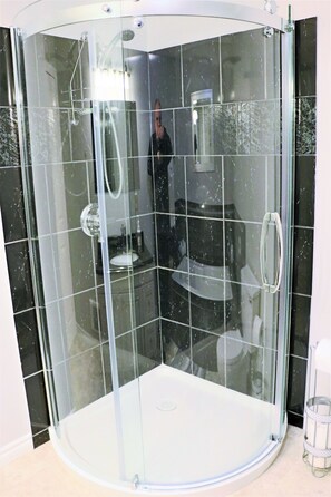 Hair dryer, towels, toilet paper