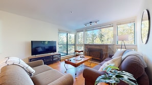 TV, fireplace, DVD player