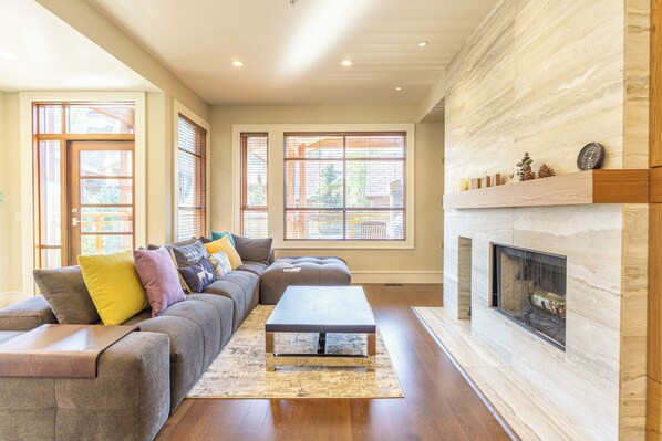 Televisión, chimenea y reproductor de DVD