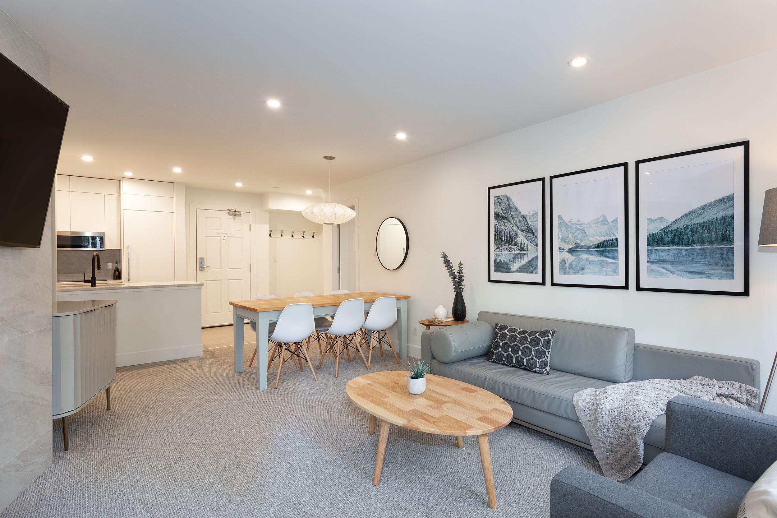 Télévision, cheminée, lecteur de DVD