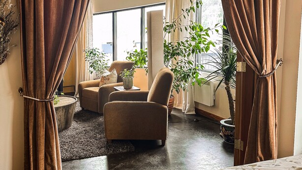 A hotel room with a bed, a sofa, and two potted plants. - Walk everywhere from Railtown Suite! + spacious, beautiful, & comfortable. (Nelson)