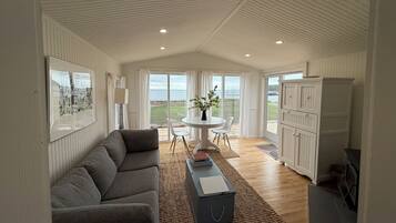 TV connectée, cheminée, livres