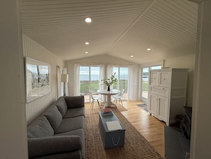 Smart TV, chimenea, libros