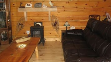 Smart-tv, pejs, dvd-afspiller, videobibliotek