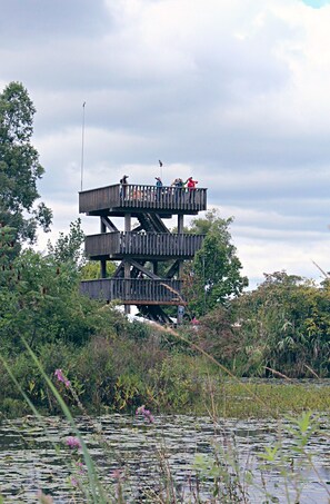 Exterior - Support your nature prescription at The Nest, situated in a conservation area! (Amherstburg)