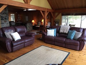 Smart TV, fireplace, video game console, DVD player