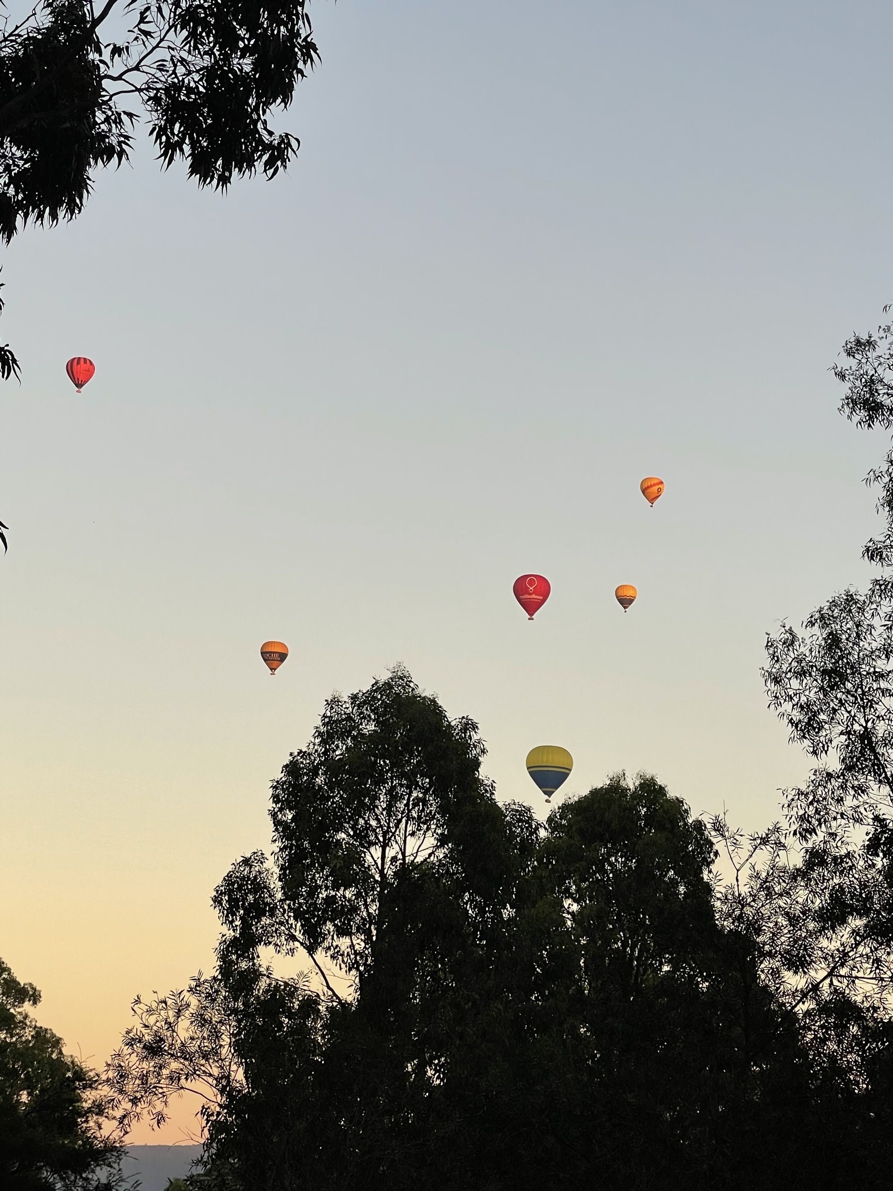 Currawong Cottage Hunter Valley central to wineries restaurants & attractions — image 23