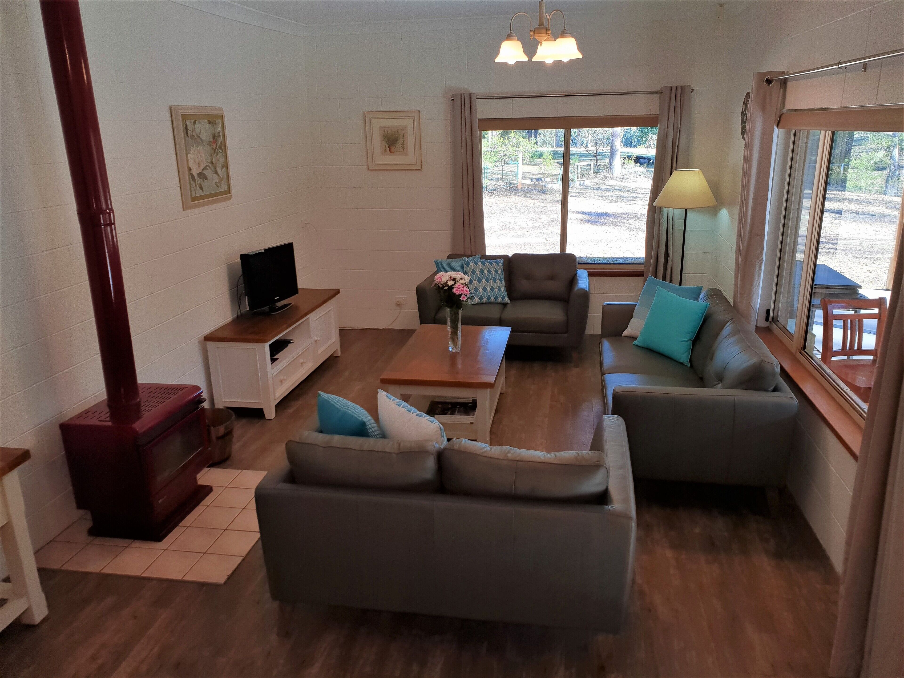 Smart TV, fireplace, DVD player, books