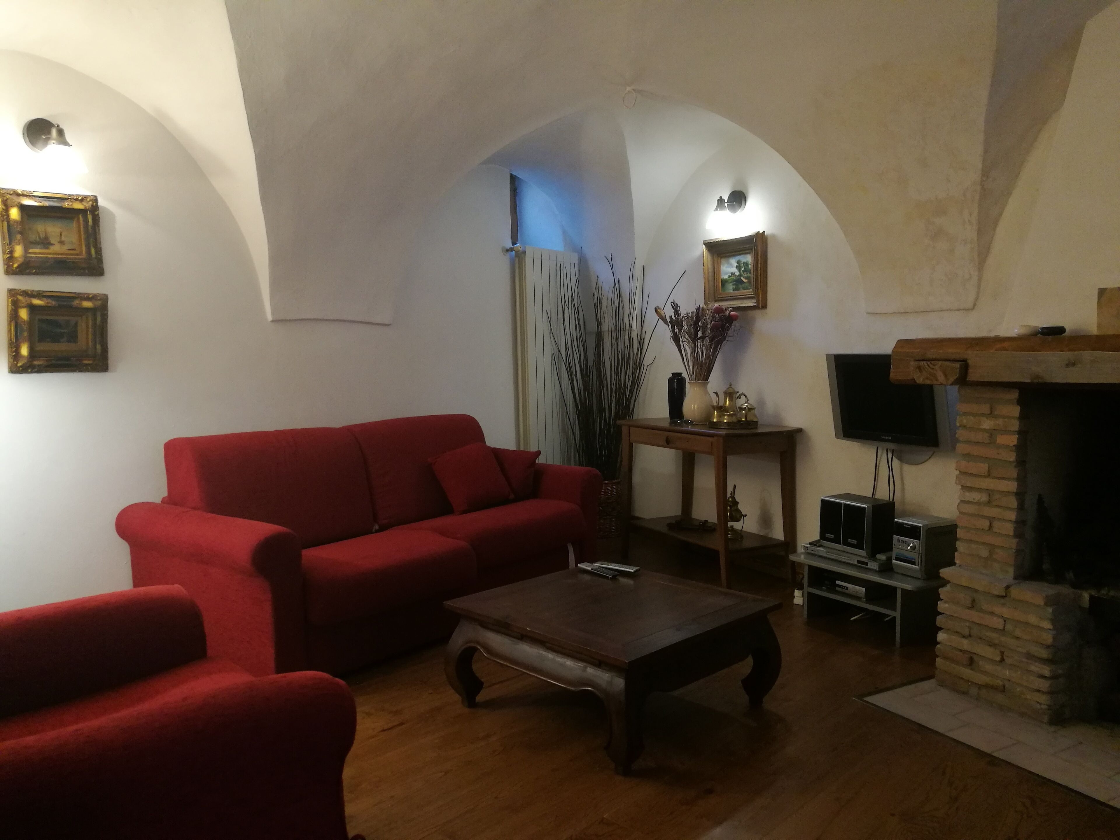 电视、壁炉、DVD 播放器、书