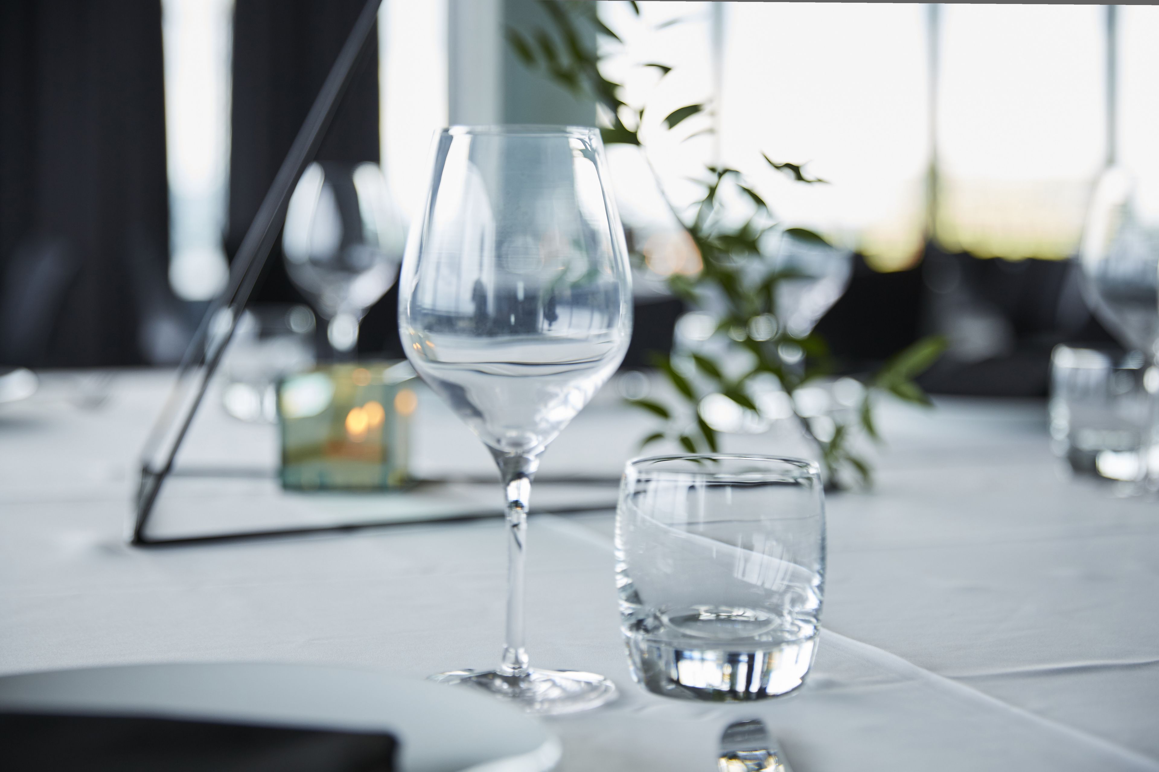 A table with a clear glass and a stemmed glass, possibly for water or wine, in a well-lit indoor setting with a plant in the background.