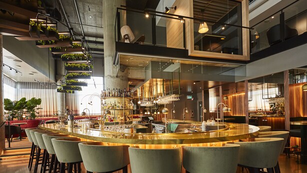 Zona de bar moderna con barra central, varios taburetes, plantas colgantes y una cocina al fondo.
