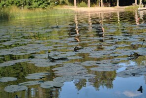 Property grounds - Summer house with panoramic sea view at Spersboda (Bergshamra)