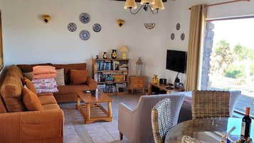 Smart TV, DVD player, books