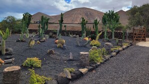 A desert garden with various cacti and succulents, a wooden gate, and a mountainous backdrop. - ECO Friendly Volcanic Rock Villa with Private Pool (6.7m x 4.6m) WiFi. Sea View. (Villa Verde)