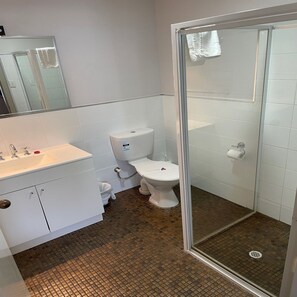 Standard Triple Room | Bathroom | Shower, free toiletries, towels, soap - Paringa Hotel Motel (Paringa)